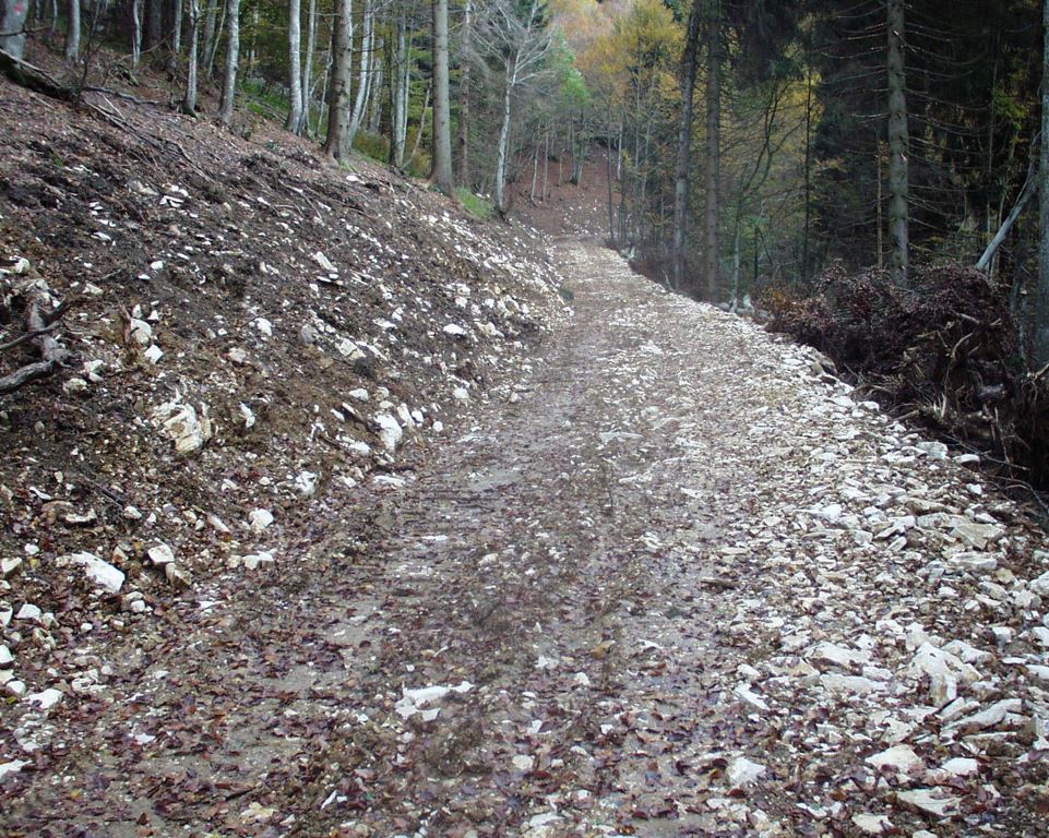 Strada silvo pastorale - Progettazione di nuova viabilità a servizio del bosco