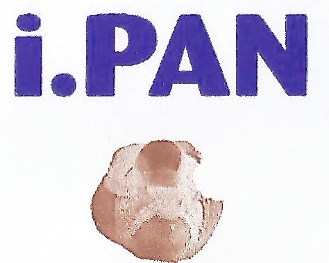 logo iPan snc