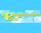 logo Il Professionista Del Pulito Srl