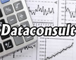 logo Dataconsult Srl