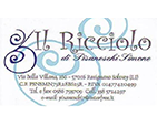 logo Il Ricciolo
