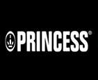 logo Princess Italia Srl