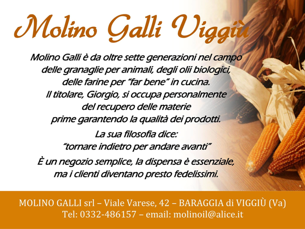 Molino Galli Srl 