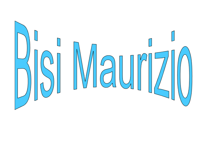 logo Bisi Maurizio