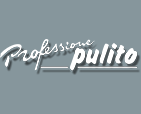 logo Professione Pulito s.r.l.
