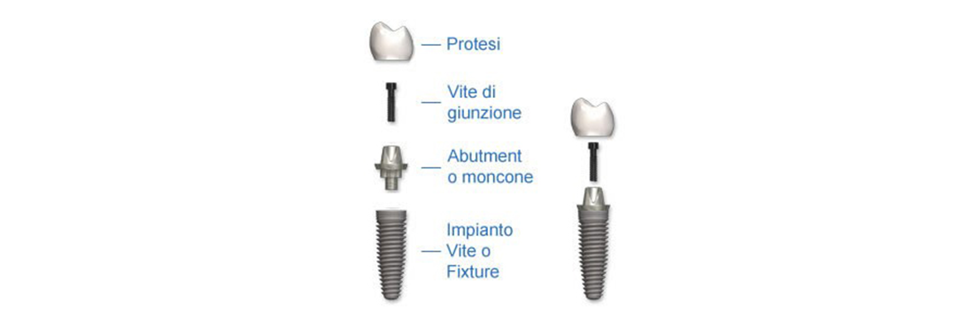 Dentismile Srl 