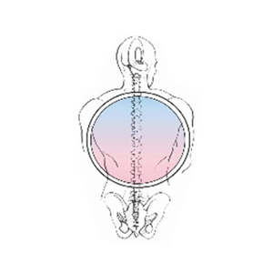 azienda Studio di Bioterapia
