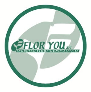 azienda Flor You - Ingrosso Fiori