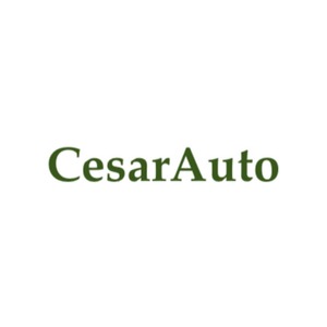 azienda Cesarauto di Sailis Agnese