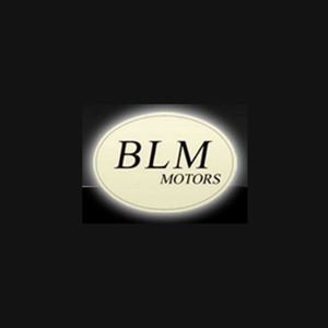 azienda BLM Motors S.r.l.