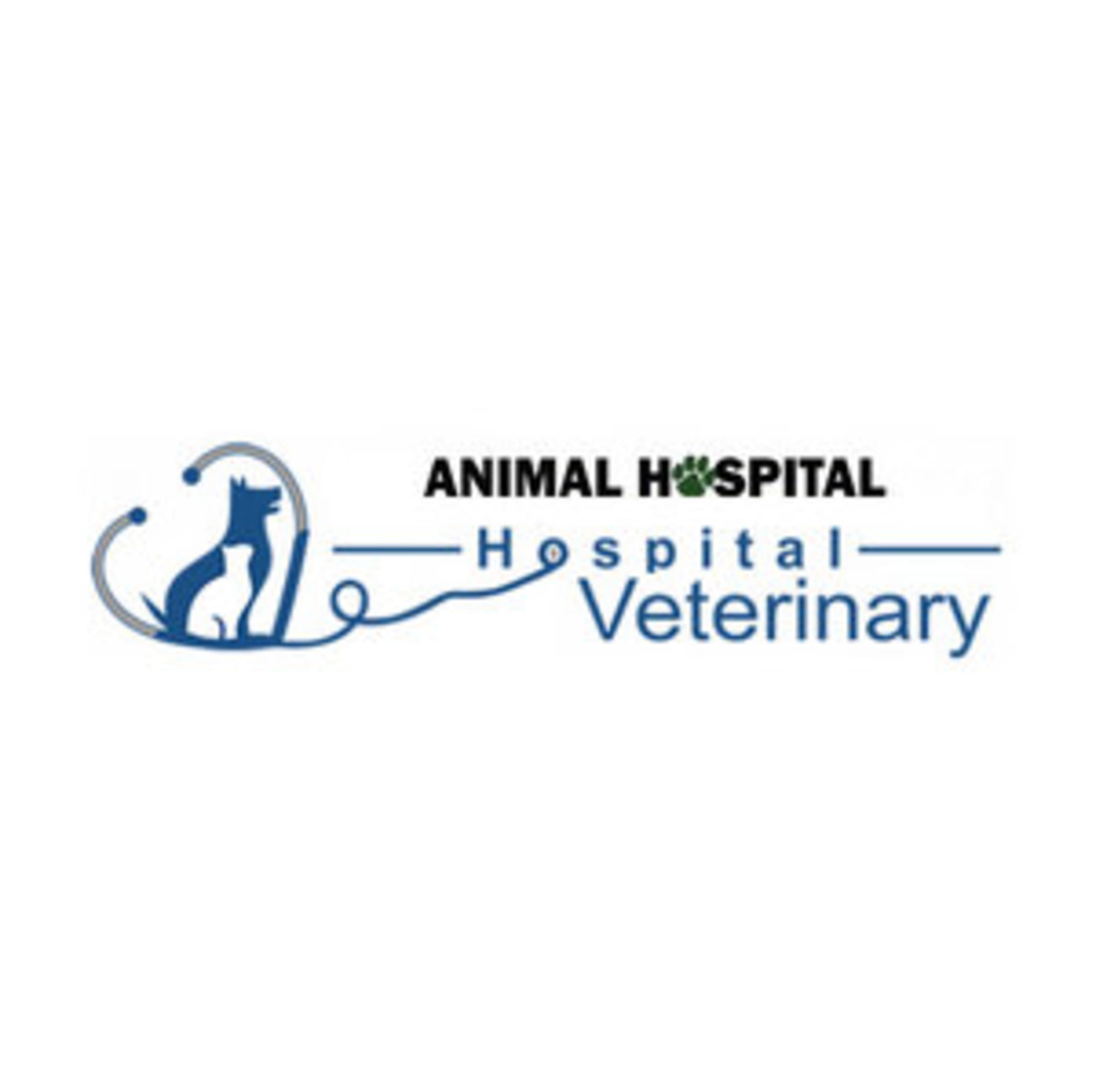 azienda Animal Hospital