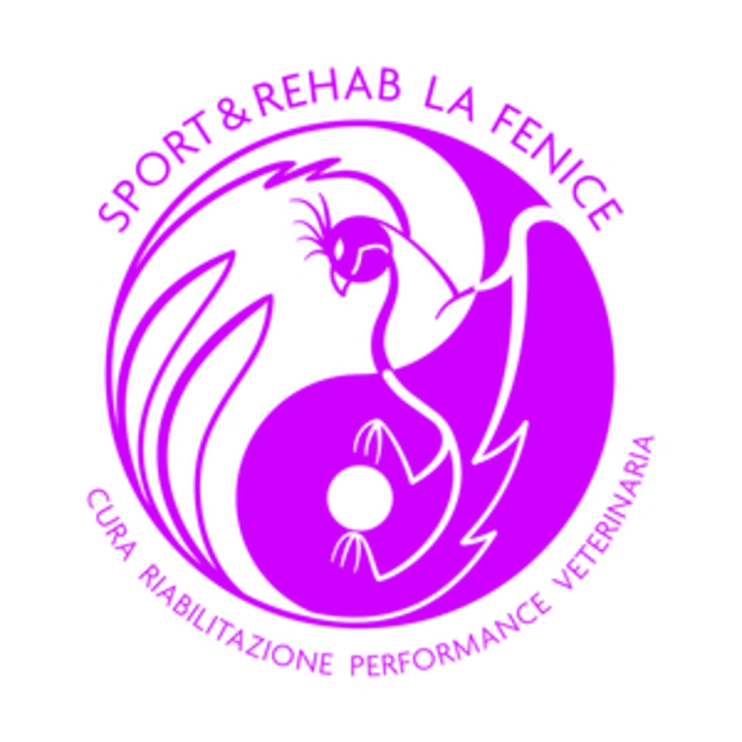 azienda La Fenice Sport &Rehab nasce da un ‘idea di unire piu’ forze professionali