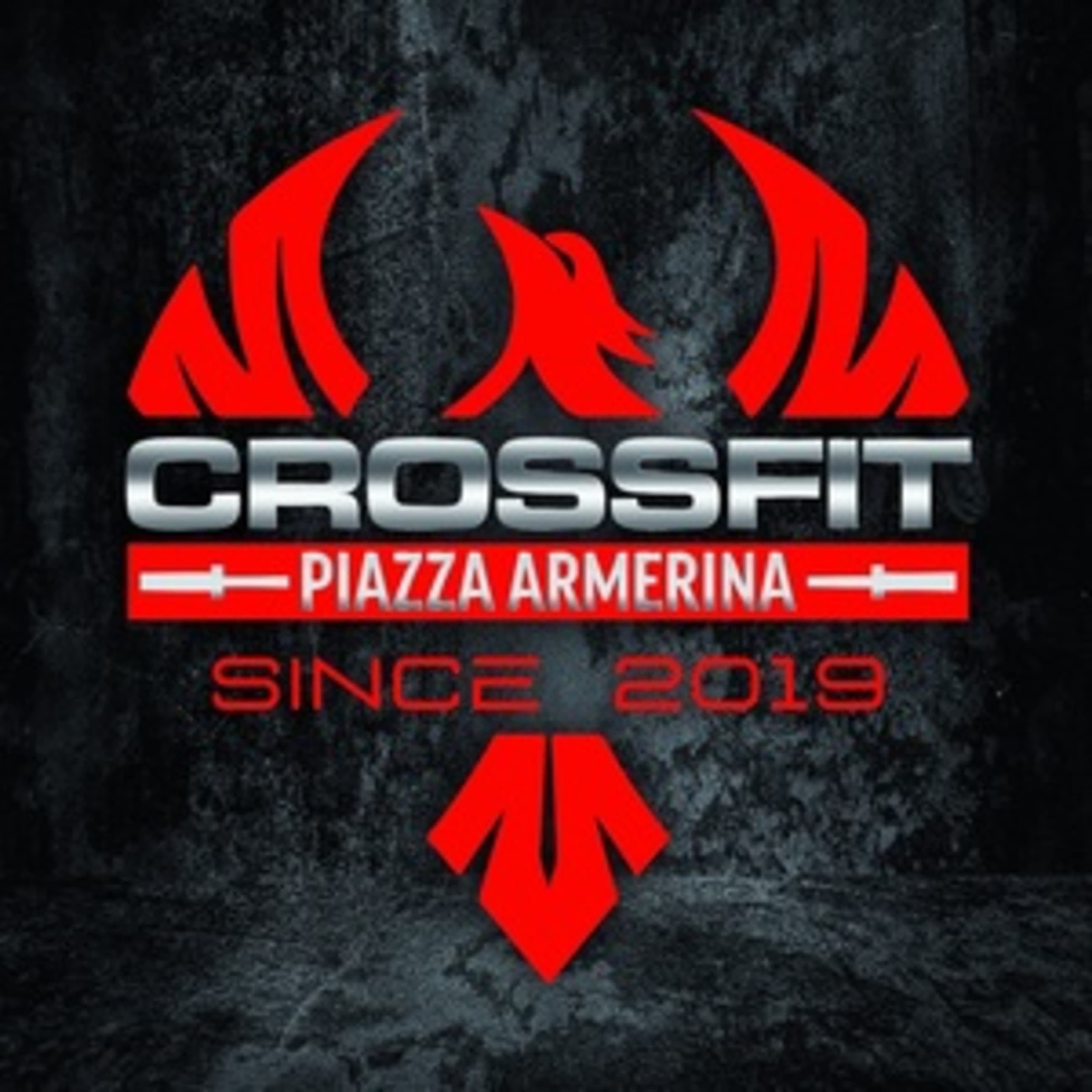 azienda Palestra Box Crossfit Piazza Armerina