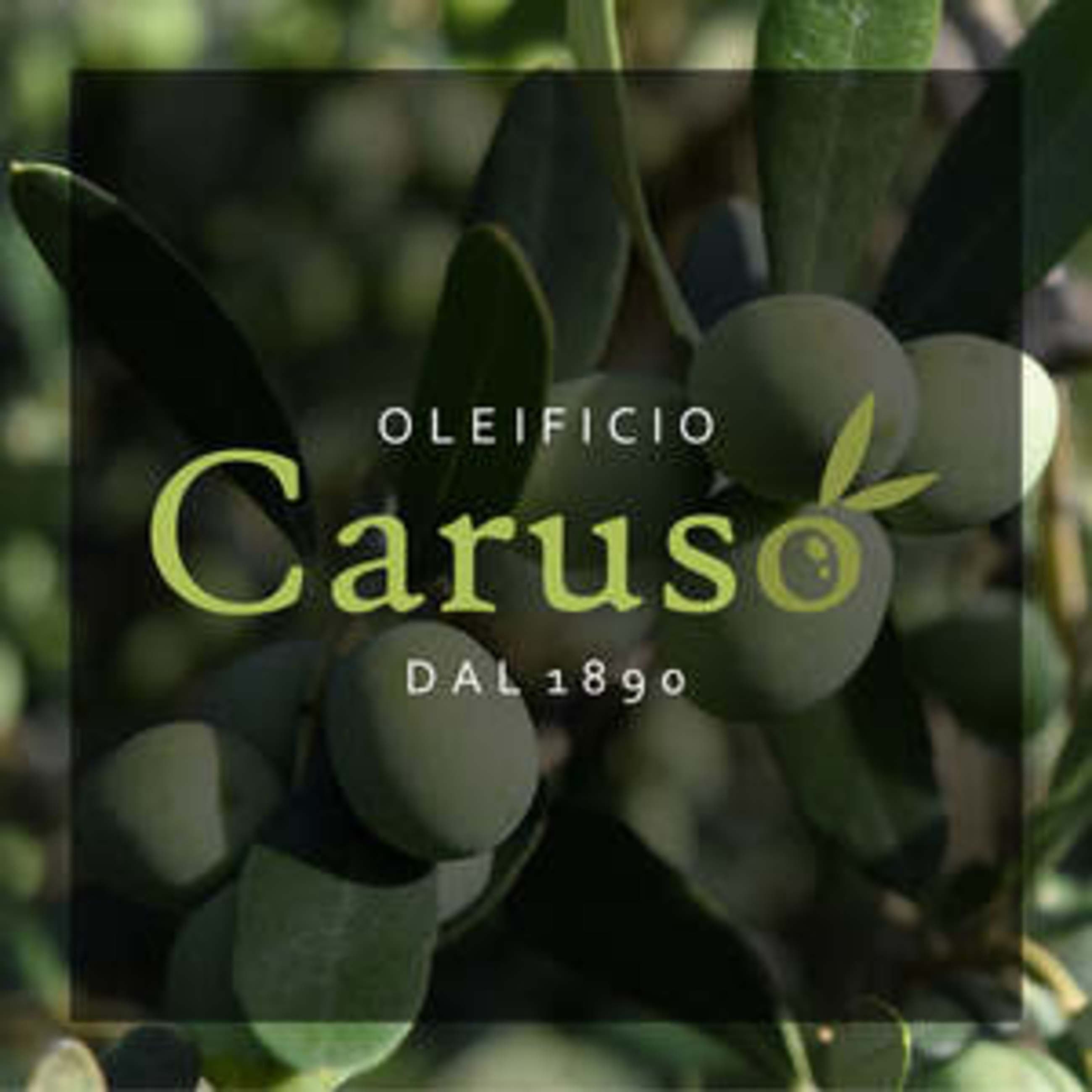 azienda Oleificio Caruso
